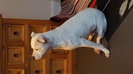 20161205_170605.jpg