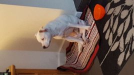 20161205_170529.jpg