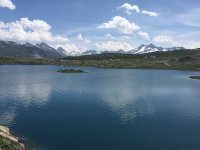IMG_2308.JPG