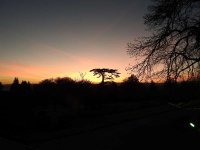 DSCN3920.JPG