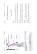 Scan23122016074144_001.jpg