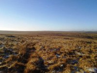 Hart of Dartmoor.jpg Hart of Dartmoor.jpg