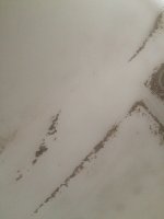 IMG_1767.JPG