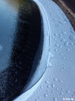 20201104_091940.jpg