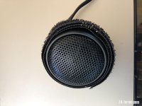 IMG_1372.jpeg