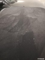 IMG_20201104_161621.jpg