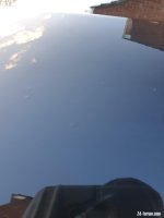 133423257_407222023925522_5856057393341926792_n.jpg