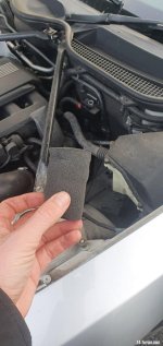 20201230_114624.jpg