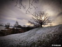 20201229_183107.jpg