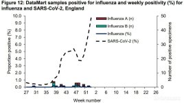 flu.JPG