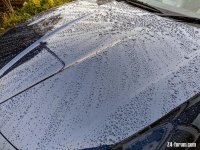 IMG_20210117_130733.jpg
