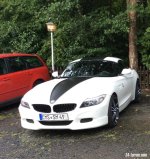 IMG_1010.jpeg