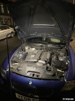 IMG_0178.jpeg