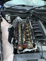 IMG_0176.jpeg