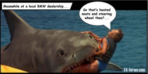 shark.jpg