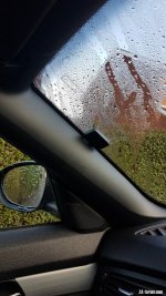 20210203_092841.jpg