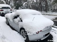 snowz.jpg