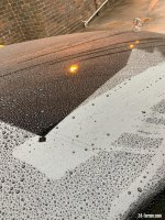 345907DA-061A-4943-BBA5-4FDDE76B4F13.jpeg