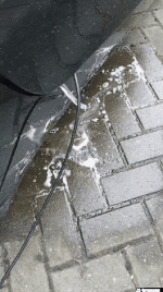 GIF-210403_131208.gif GIF-210403_131208.gif