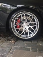 IMG_8796 (002) AP 4pot.JPG