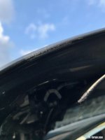 IMG_2972.jpeg