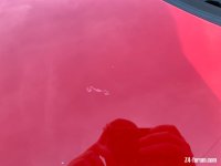 IMG_8722.jpg
