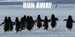 run.gif