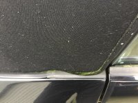 IMG_1365.JPG
