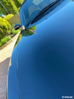 IMG_9941.jpeg