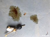 Oil leaks evidence days 1 and 2.jpg
