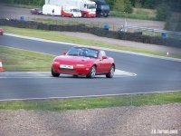 Kermit At Knockhill.jpeg