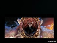 01B27826-B7D5-42C2-A294-9F01C324E81D.jpeg