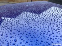 C23C5F2B-A6CE-4B22-A2F1-1091F5BCF97B.jpeg