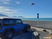 Kaikoura_Jeep.jpg