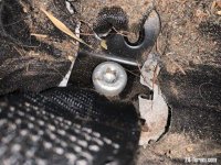 Seatbelt Screw.jpg Seatbelt Screw.jpg