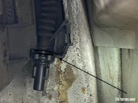 IMG_1296.jpeg IMG_1296.jpeg