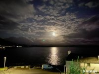 2618DD9A-FEE8-40C1-8B77-B0109EE56124.jpeg