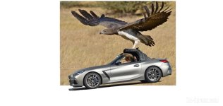 Eagle vs Z4-2.jpg