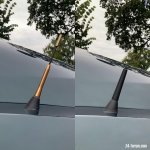 2CE7764B-DF39-4826-93BC-E61DD4D88011.jpeg