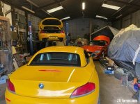 Z4 Lemons & Tangerines.JPG