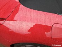 IMG_20211110_115248 (003).jpg