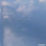 IMG_0853.jpg