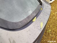 IMG_20211113_121629.jpg