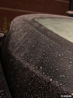 46328FEF-9D20-4B74-8855-166D63620170.jpeg