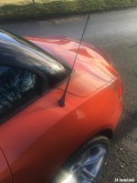 #whippyelite.JPG