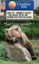 now-pet-friendly-except-for-bears-meme-300x250.jpg