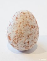 White_Cadbury_Mini_Egg_with_brown_specks.jpg