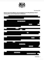 Sue Gray Report.jpg
