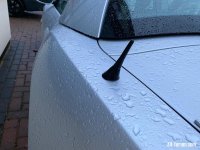 IMG_3381.jpeg IMG_3381.jpeg
