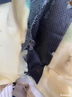 IMG_3328.jpeg IMG_3328.jpeg